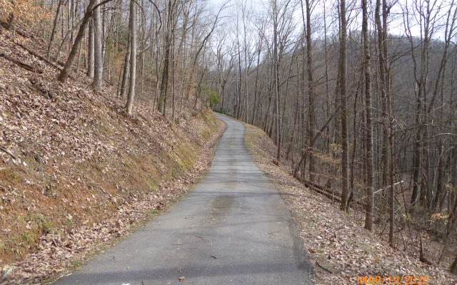 LT172 Owen Glen - Photo 1