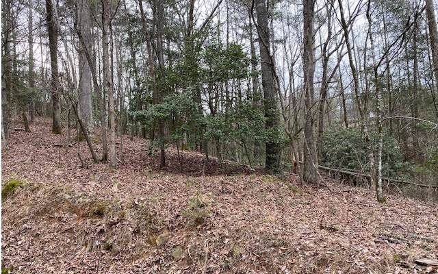LT718 Muscogee Dr - Photo 1 LT718 Muscogee Dr - Photo 1