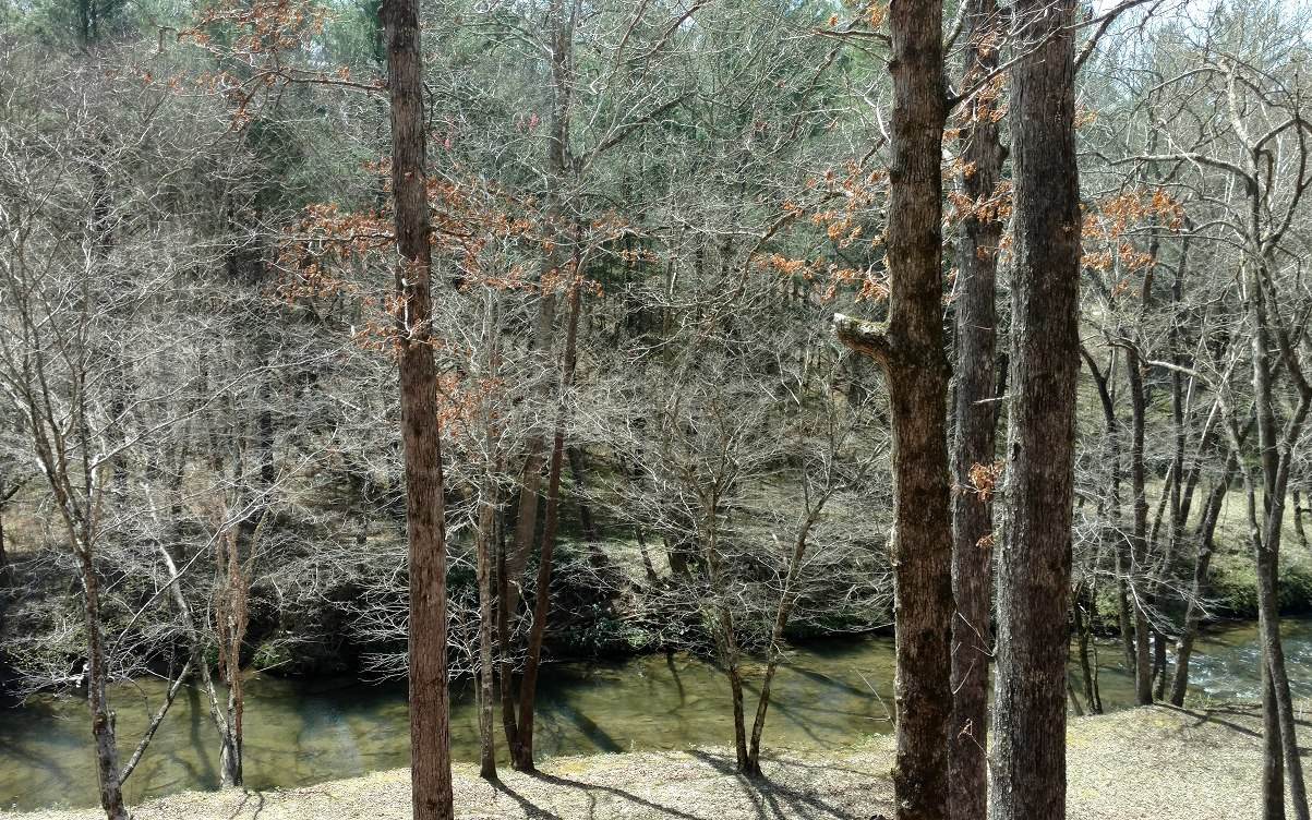 1918 Creekstone Lane - Photo 1