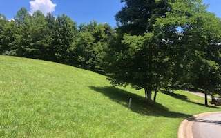 16 Summit Trace - Photo 1