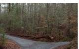 24/25 Maple Rest Lane - Photo 1