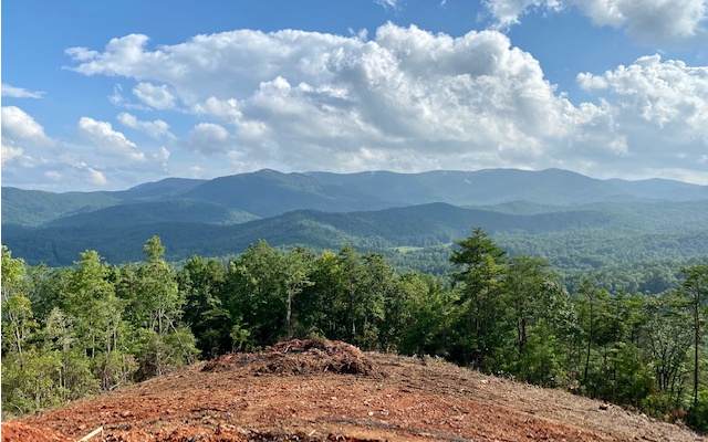 LT 1 Big Sky Trail - Photo 1