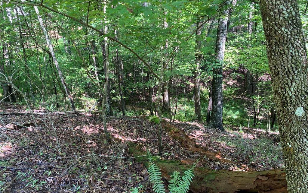 00 Oneida Circle - Photo 1
