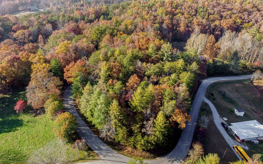 Pack Creek Road - Photo 1