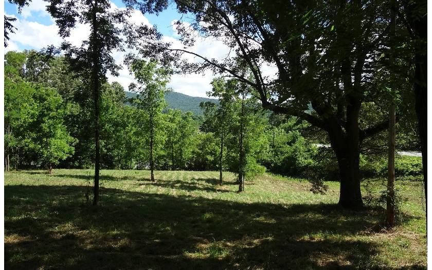 .898 Acres State Hwy 17 - Photo 1