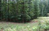 Windy Knoll - Photo 1