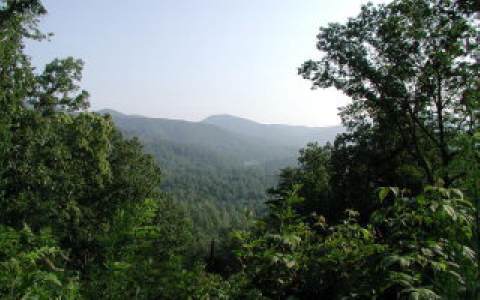 TBD View Ridge Trail - Photo 1