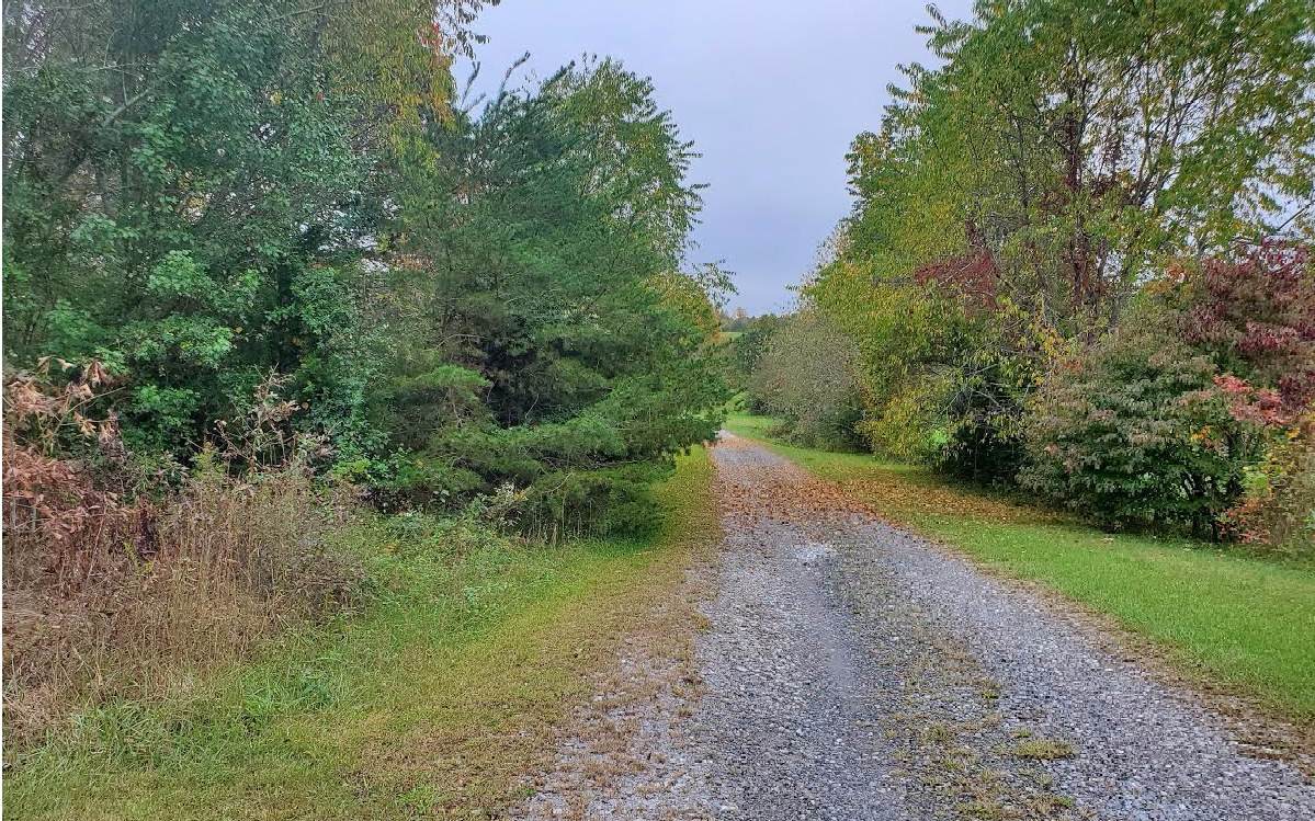00 Red Hawk Hills Rd - Photo 1