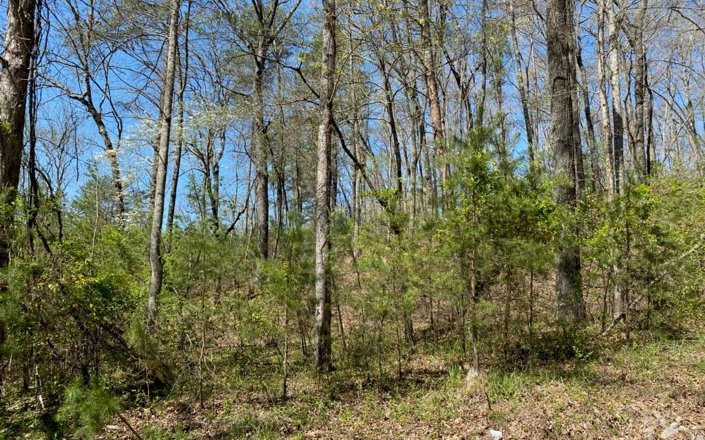 LT 28 Creekmont Crossing - Photo 1