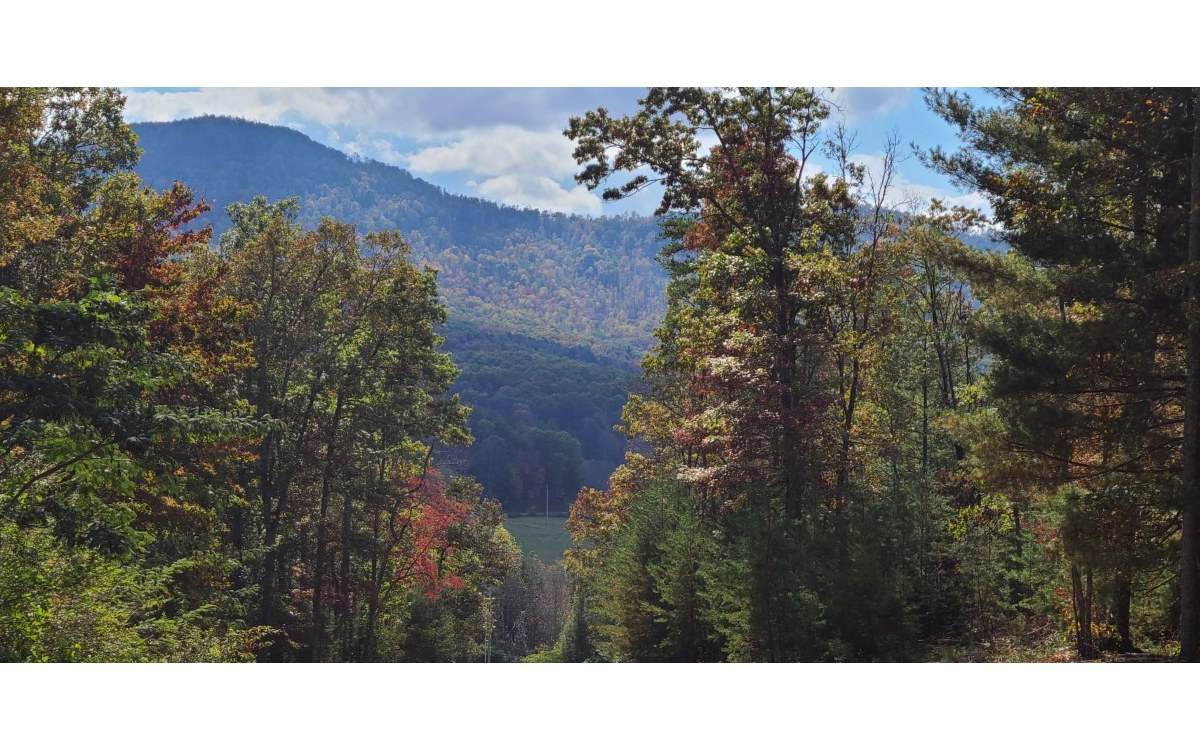 00 Chimney Top - Photo 1