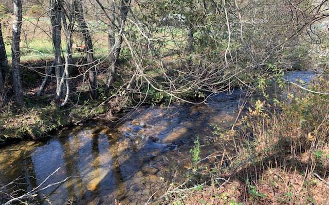 LOT 6 Pine Log Road - Photo 1