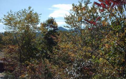 Mountain Drive - Photo 1