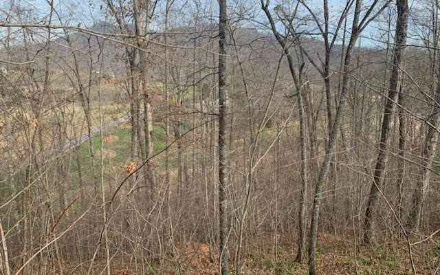 L 83A Mountain Harbour - Photo 1