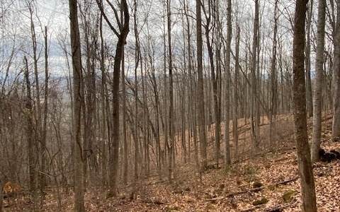 LT27 Rocky Knob Drive - Photo 1