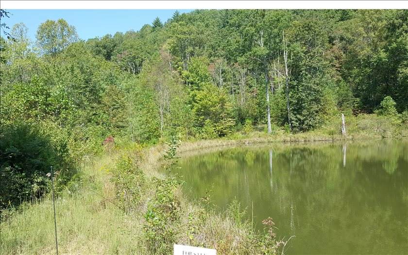 LOT 7 Carolina Vista - Photo 1