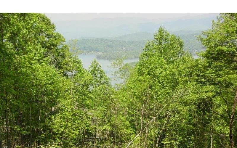 #73 Eagles View - Photo 1