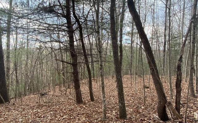 20+AC Boardtown Rd - Photo 1