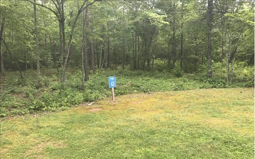 LOT43 Doll Mountain Rd - Photo 1
