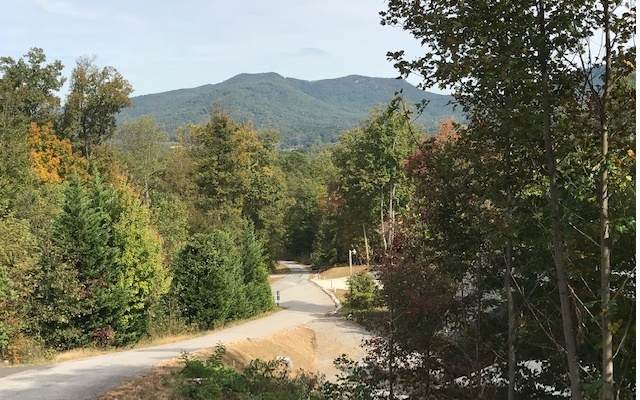 LOT 7 Morgan Ridge Dr - Photo 1