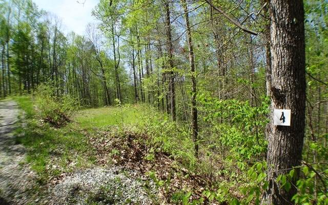 #4 Deweese Rd - Photo 1