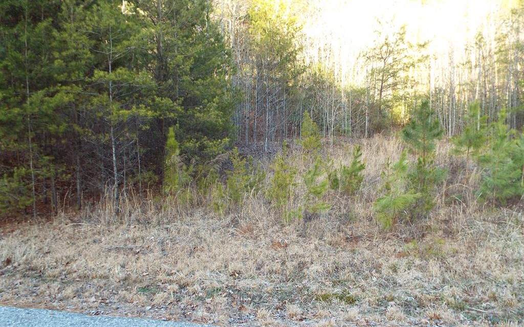 TBD Choctaw Ridge - Photo 1