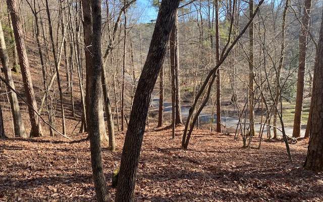 643 Edgewater Drive - Photo 1
