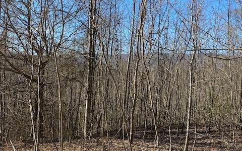 Lot 20N North Ridge - Photo 1