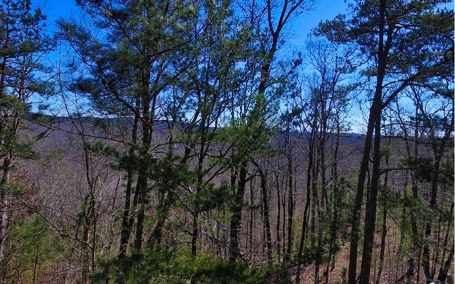 LT181 Doll Mountain Road - Photo 1