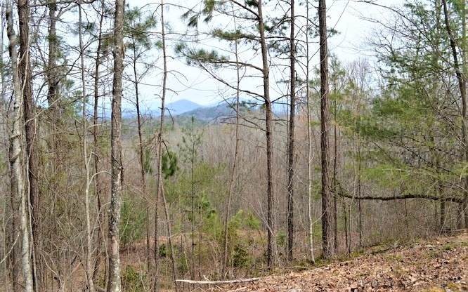00 Underwood Hill Road - Photo 1