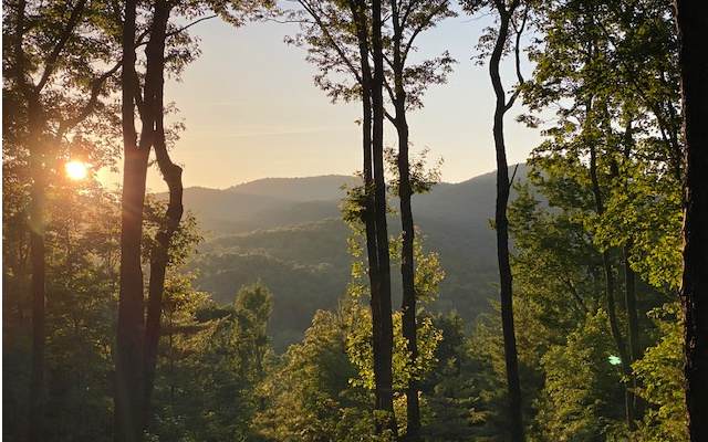 LT 11 High Ridge - Photo 1