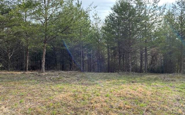 LT 13 Standing Meadows - Photo 1