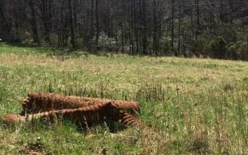 00 Upper Bear Paw Rd - Photo 1