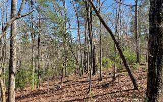 LT 11 Woodlake - Photo 1