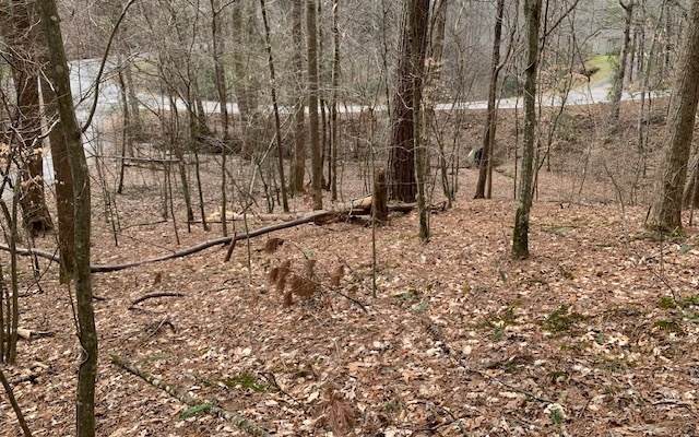 LT317 Beaver Lake - Photo 1