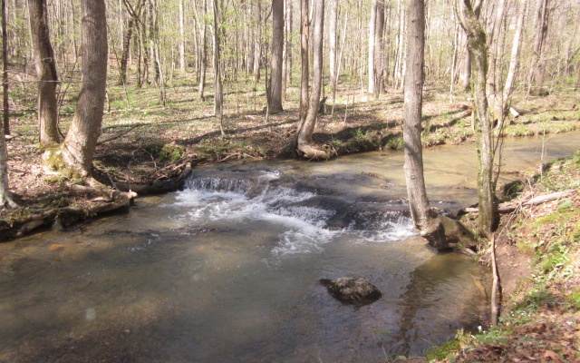TR 3 Jones Mountain Road - Photo 1