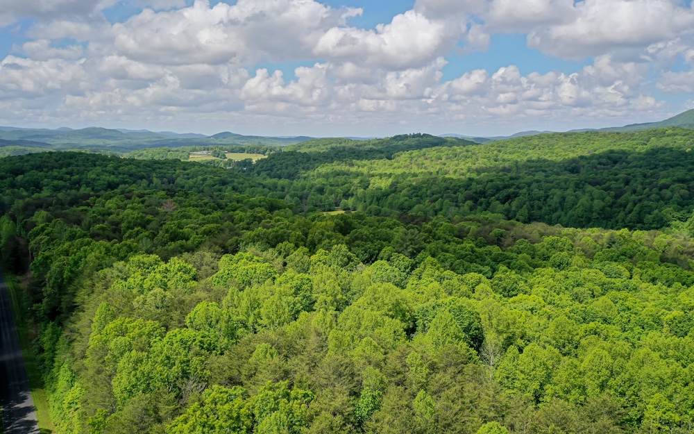 7.77 Big Creek Rd - Photo 1