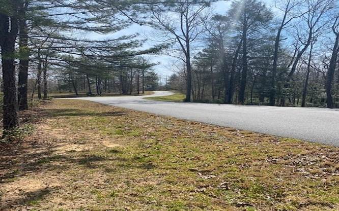 Lot 5 Brasstown Trls - Photo 1