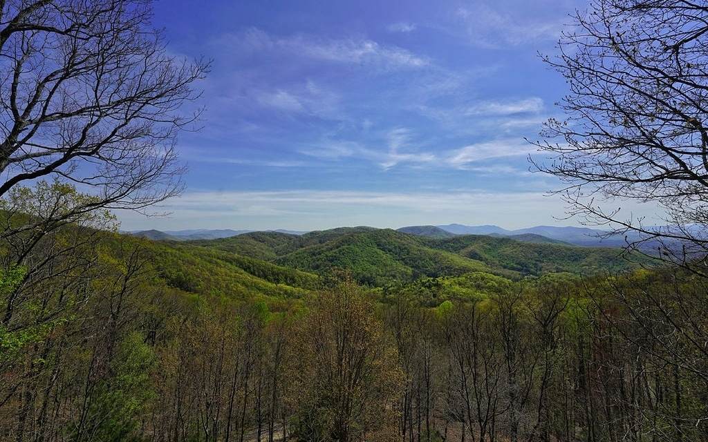 773 Heards Ridge - Photo 1