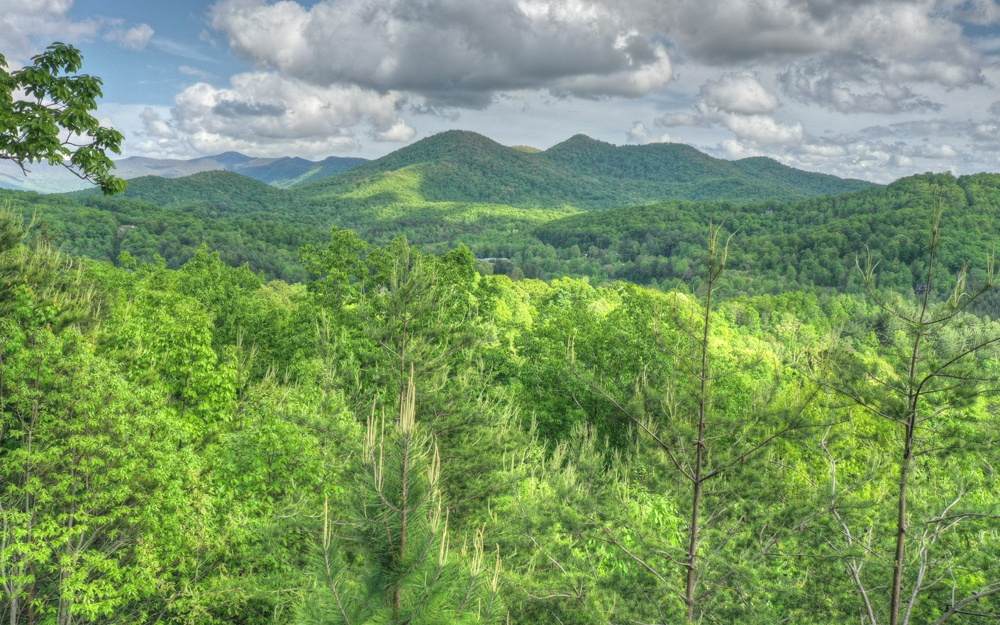 24-27 Smokey Mountain Est - Photo 1