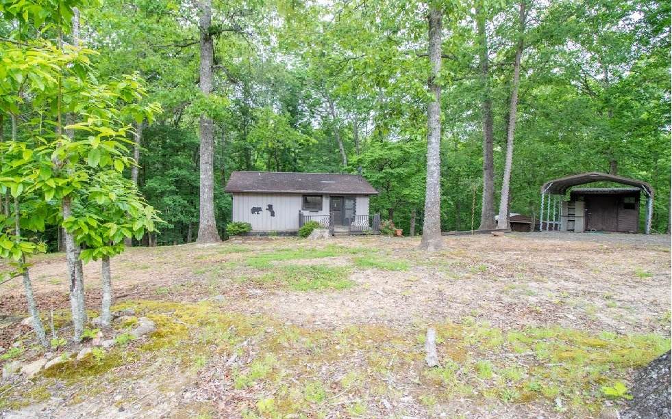 486 Cook Bridge Rd. - Photo 1