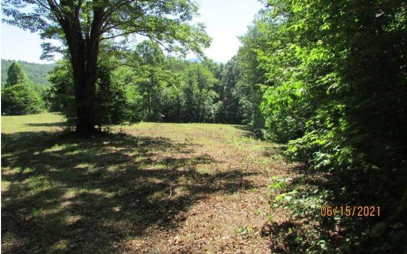 Oak Forest Circle - Photo 1