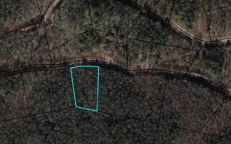 LT 5 Shake Hollow Rd - Photo 1