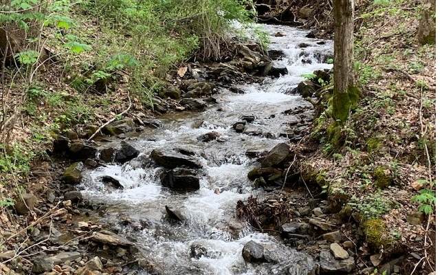 LT 17 The Springs - Photo 1