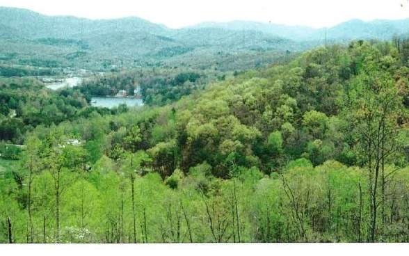 LOT29 Hidden Summit - Photo 1