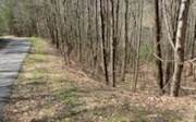 LOT11 Grandview Dr - Photo 1