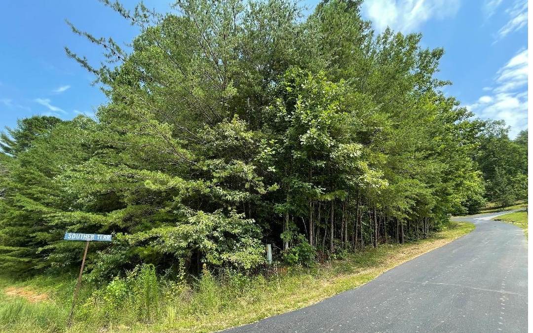 LT 60 Souther Mill Estates - Photo 1