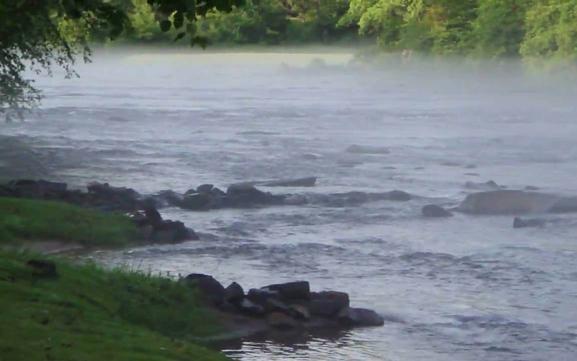 Foggy Bottom Trail - Photo 1