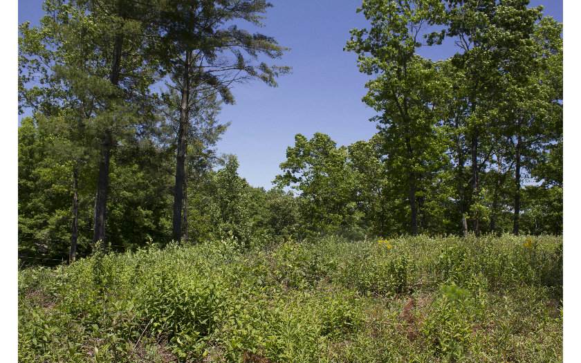 137 Arrow Drive - Photo 1