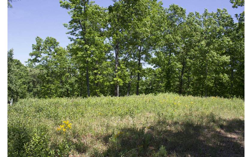 145 Big Chief Road - Photo 1