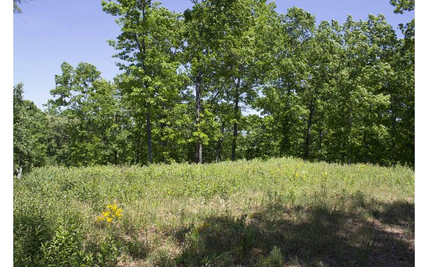 191 Golf Course Circle - Photo 1